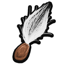 Milkweed Tuft
